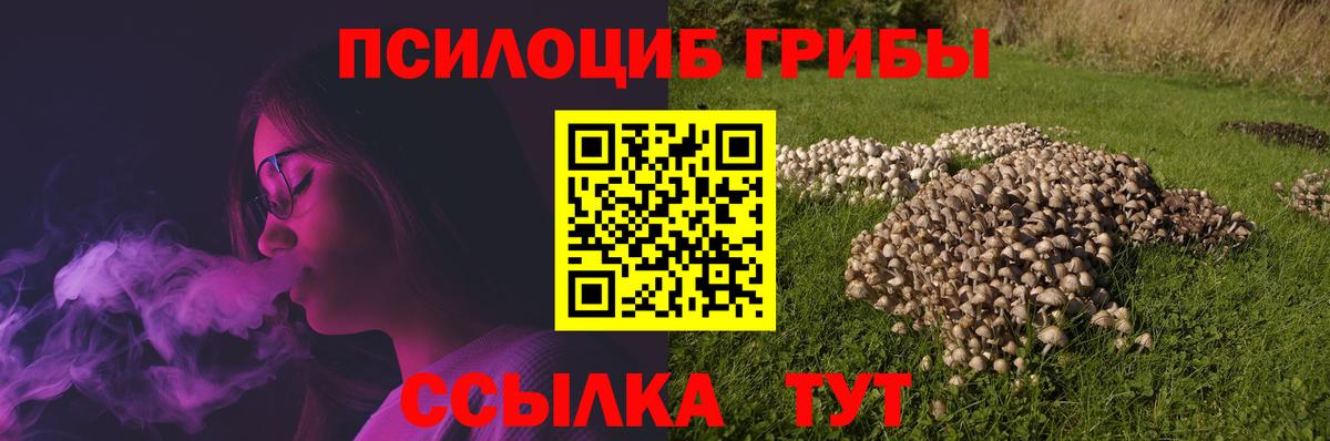 Псилоцибиновые грибы мицелий  Псилоцибиновые грибы Cubensis  где можно купить наркотик  Вход с VPN  Михайловск 